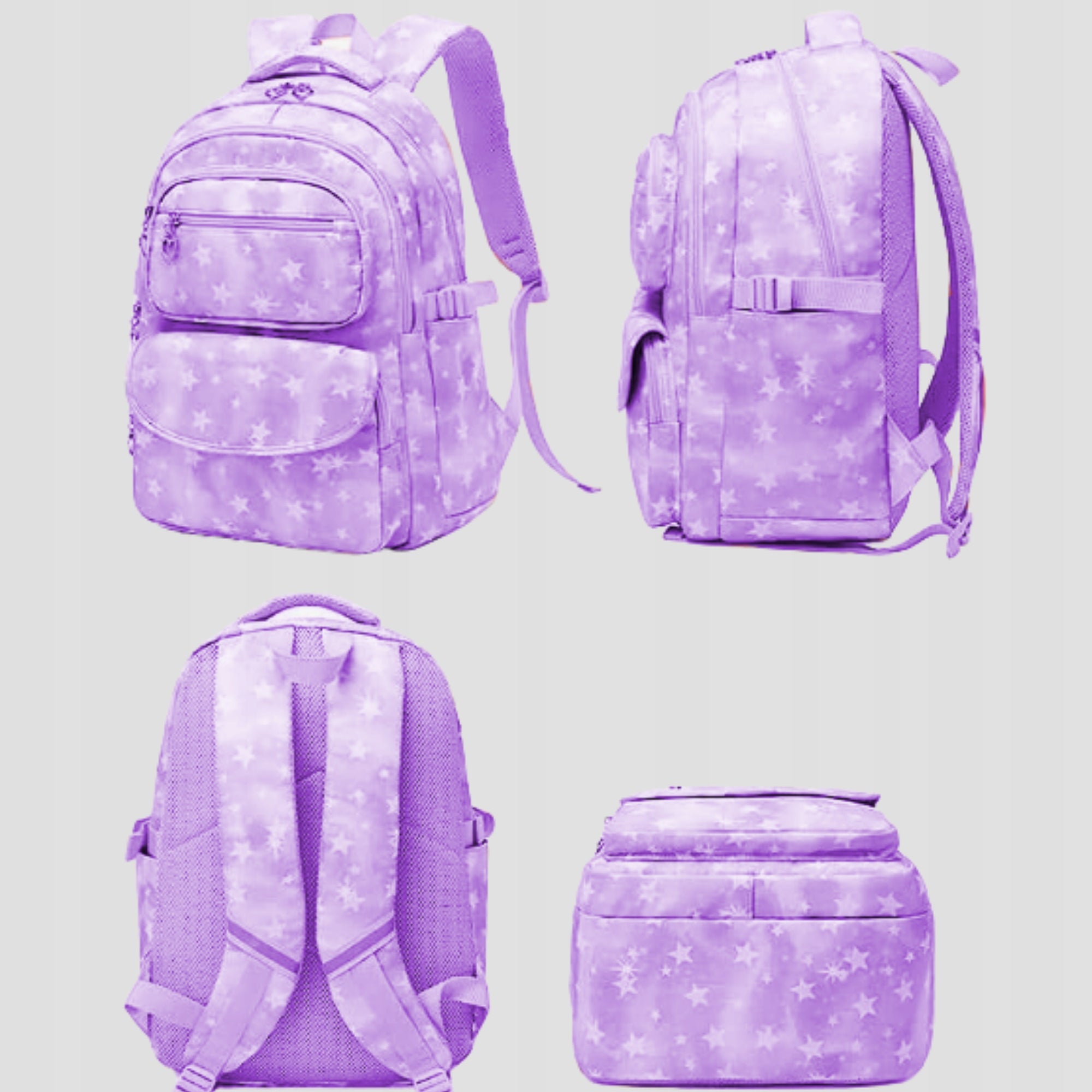 School backpack multi-chamber purple Manufacturer code DG-PL-FIO-24