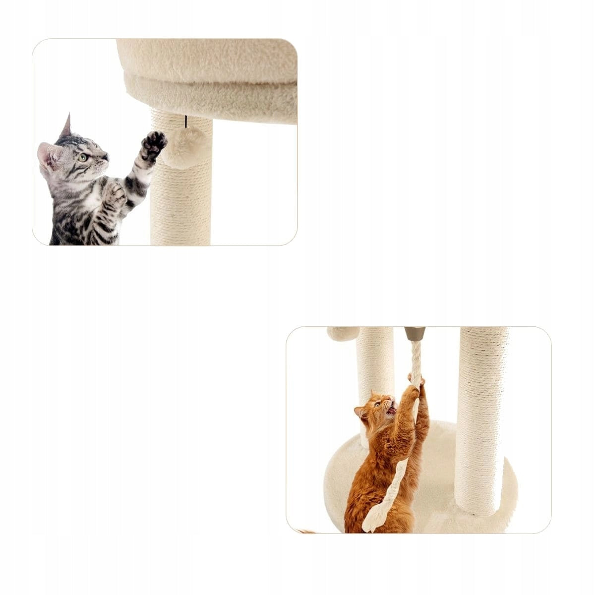 Scratcher low, bed Costway up to 60 cm Brand Costway