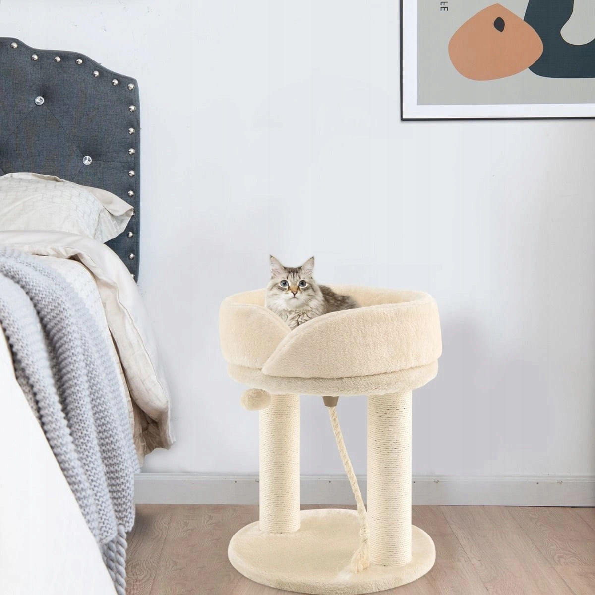 Scratcher low, bed Costway up to 60 cm Number of levels 2