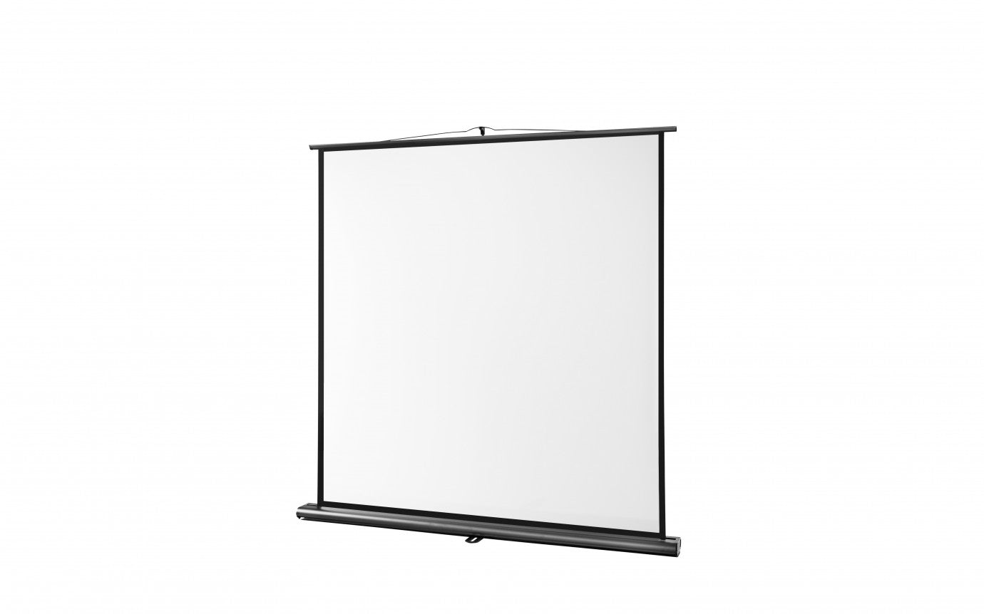 Screen Celexon Ultramobile Professional 200x150 cm Brand Celexon