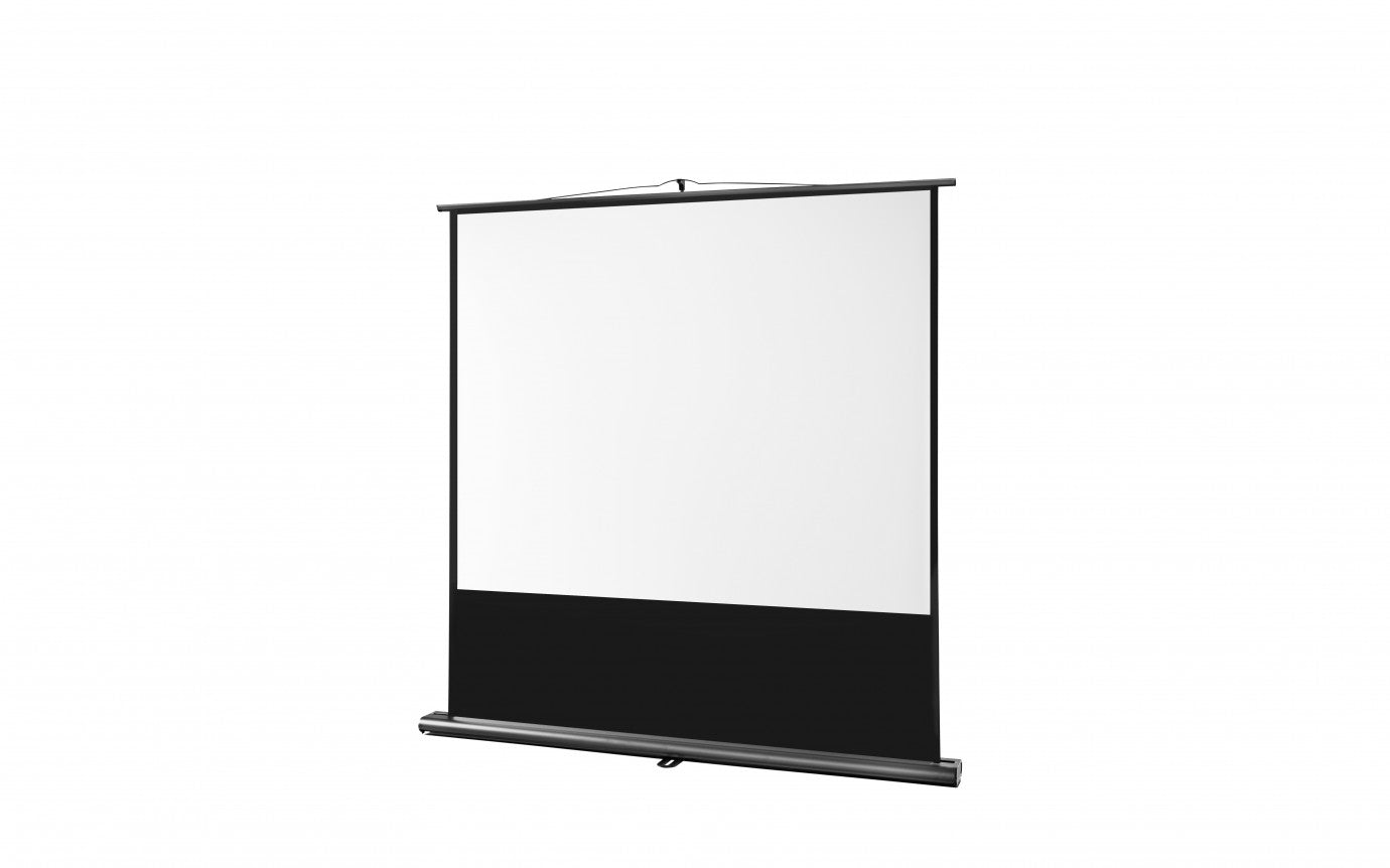 Screen Celexon Ultramobile Professional 200x150 cm