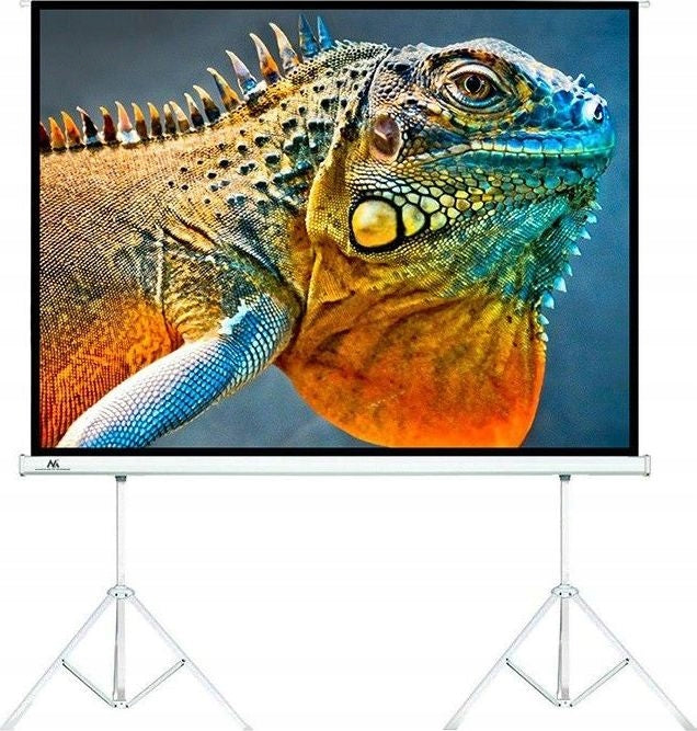 Screen for projector Maclean MC-712
