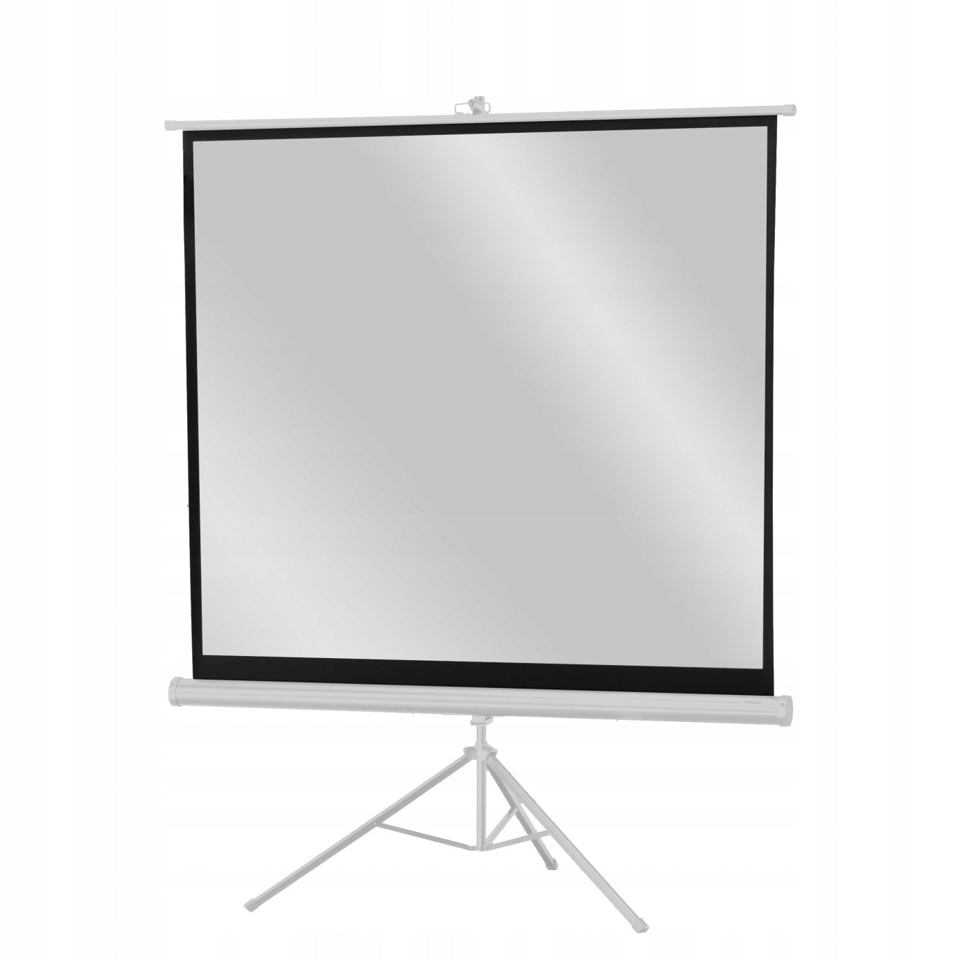 Screen on tripod Celexon Economy 158 x 158 White