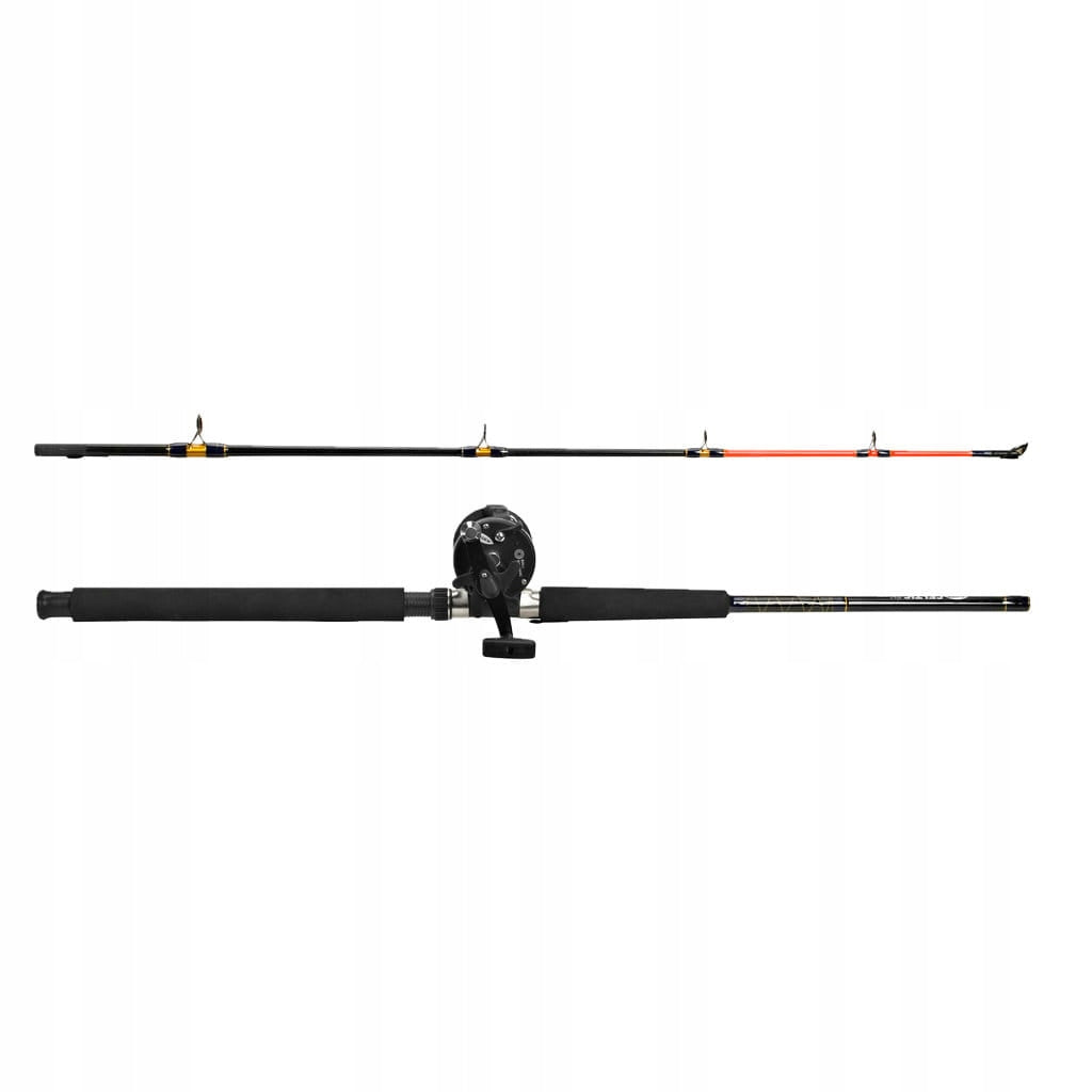 Sea fishing rod Fladen 180cm 100-250g