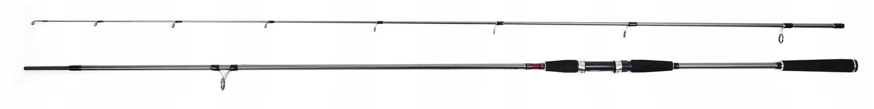 Sea fishing rod spinning Daiwa Seahunter X Sea Trout 3.10m 10-40g