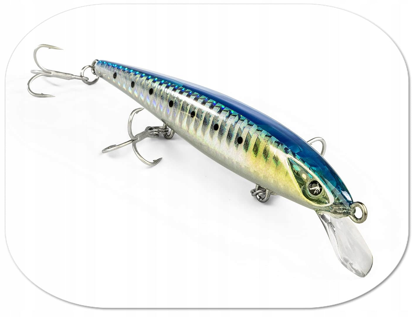 Seaspin EJA 100 - Artificial bait for fishing in the sea 10 cm
