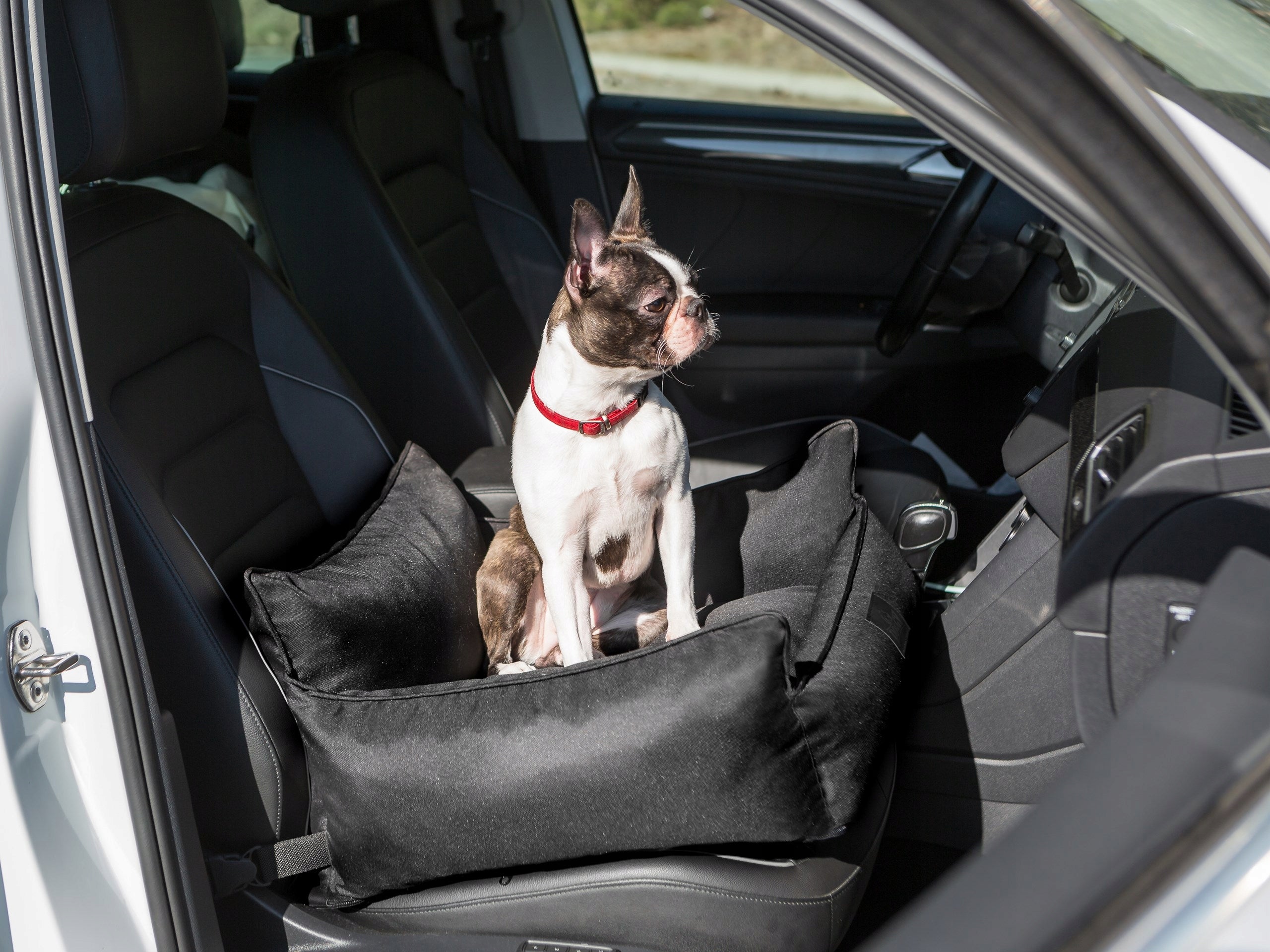 Seat Transporter Bed for car and home 57x55 Brand Doggy