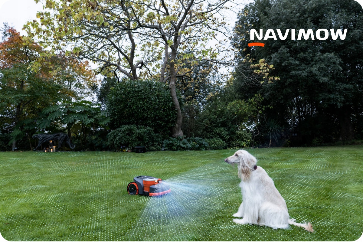 Segway Navimow H215E nRTK LiDAR robot up to 1500m2 without cable Packaging status original