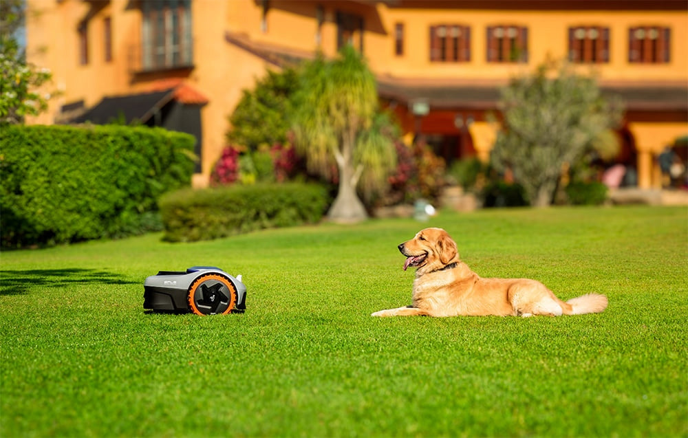 Segway-Navimow i105E EU Robot Mowing Series I1 Automatic Silent Application Mowing performance 600 m²