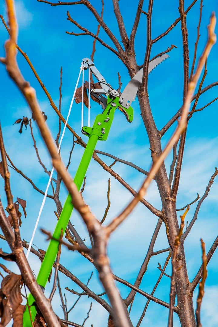 Sekatorius Verto 15G260