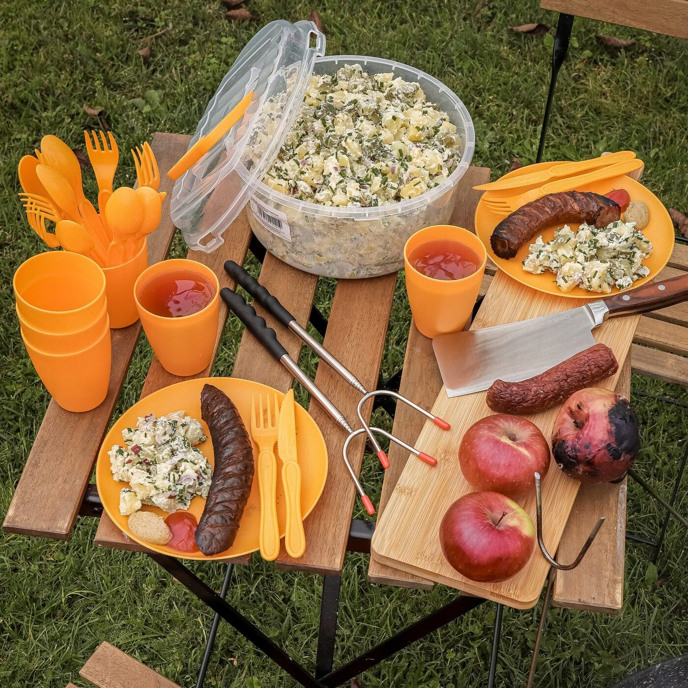 Set PICNIC plates CUPS for 6 people CONTAINER 31 el mix of colors Color multicolor