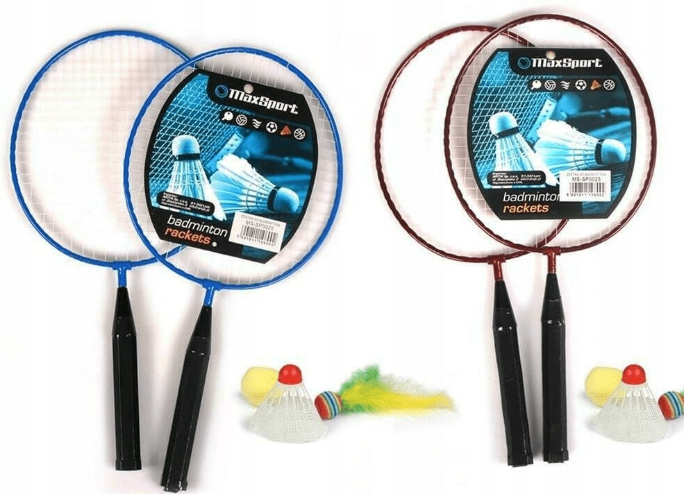 Set for badminton, badminton, paddles