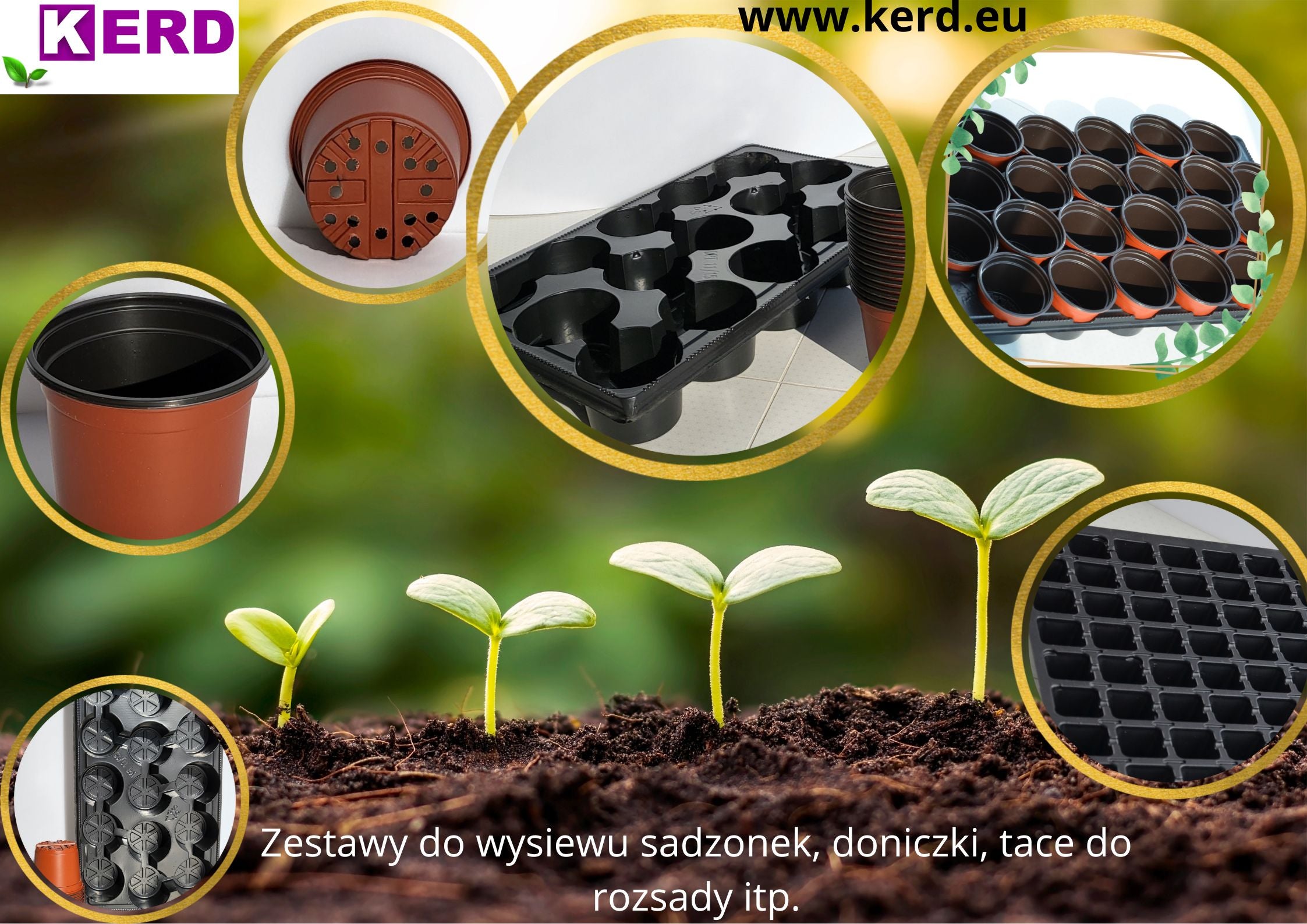 Set for planting seeds and sowing seedlings p11 POTTS 11 + TRAY Packaging status original