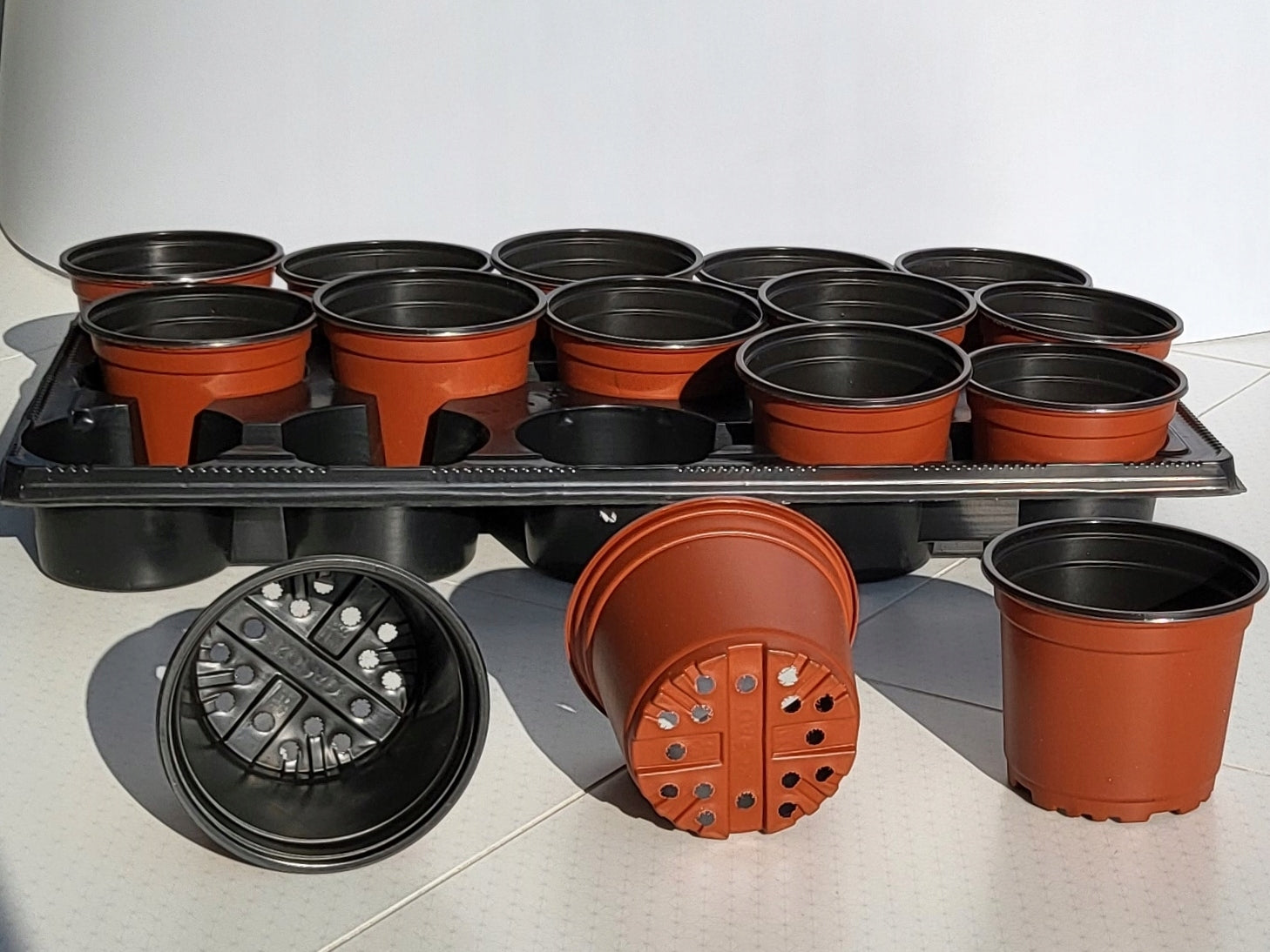 Set for planting seeds and sowing seedlings p11 POTTS 11 + TRAY