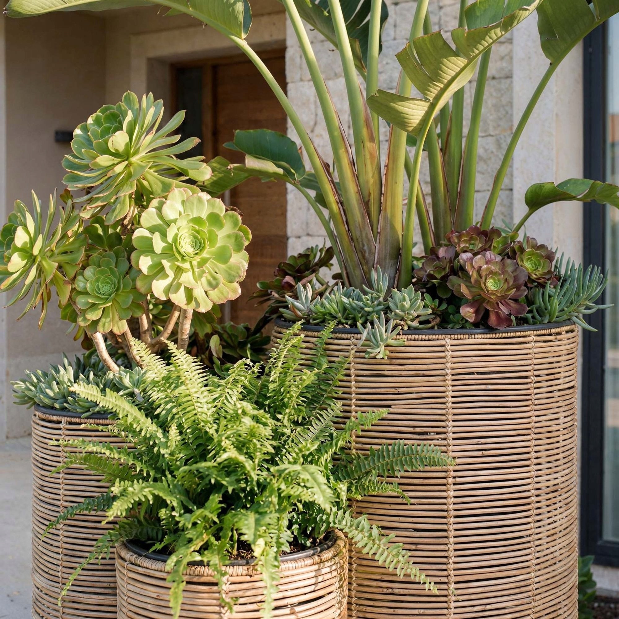 Set of 3 Polyrattan Pots with Refill Garden Pots Balcony Terrace Living Room Color beige