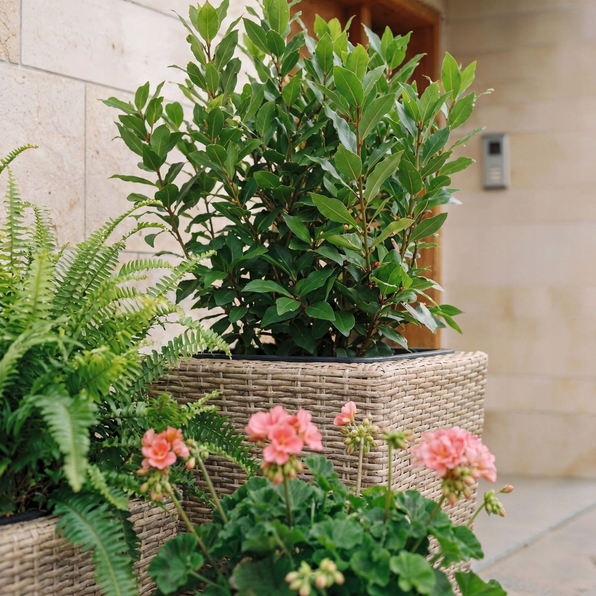 Set of 3 Polyrattan Pots with Refill Garden Pots Terrace Living Room Color beige