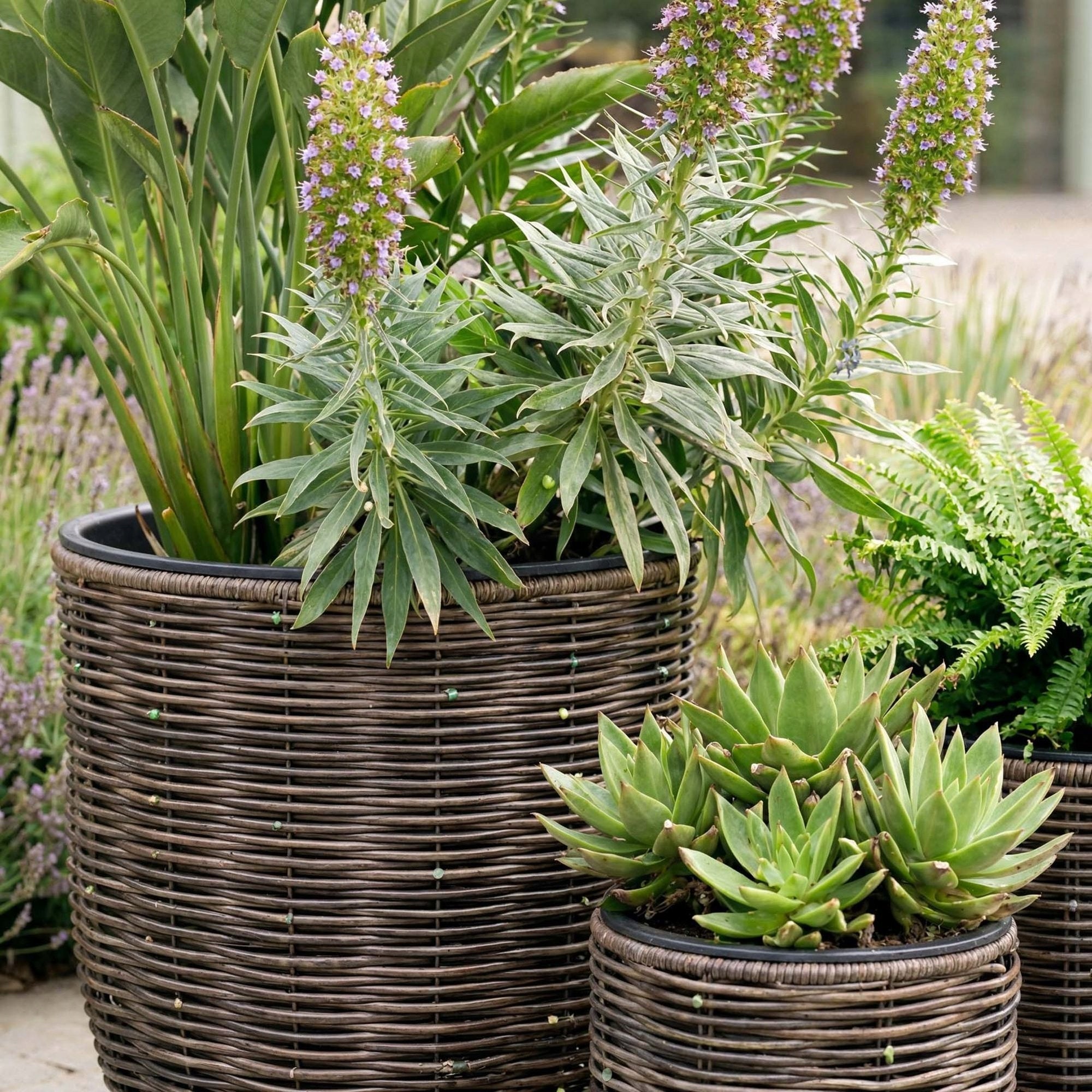 Set of 3 Technorattan Garden Pots with Pot Refill Living Room Terrace Color brown