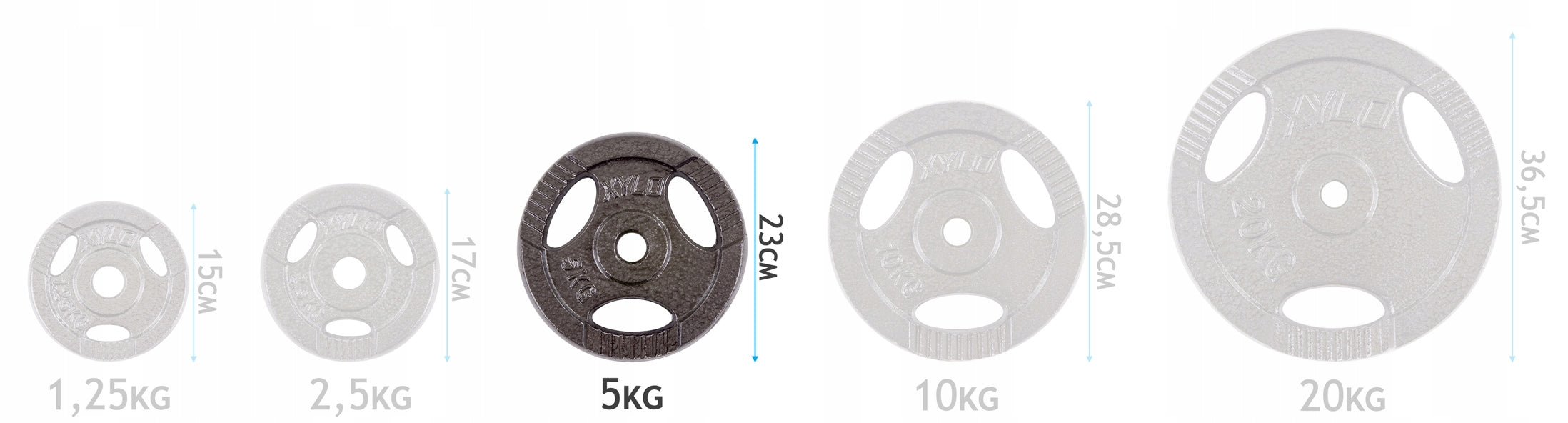 Set of CAST IRON LOADS 10KG plates CAST IRON circulation WEIGHTS discs METAL Brand Sapphire