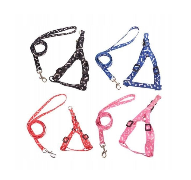 Set of harnesses + dog leash 4 different colors Roz S