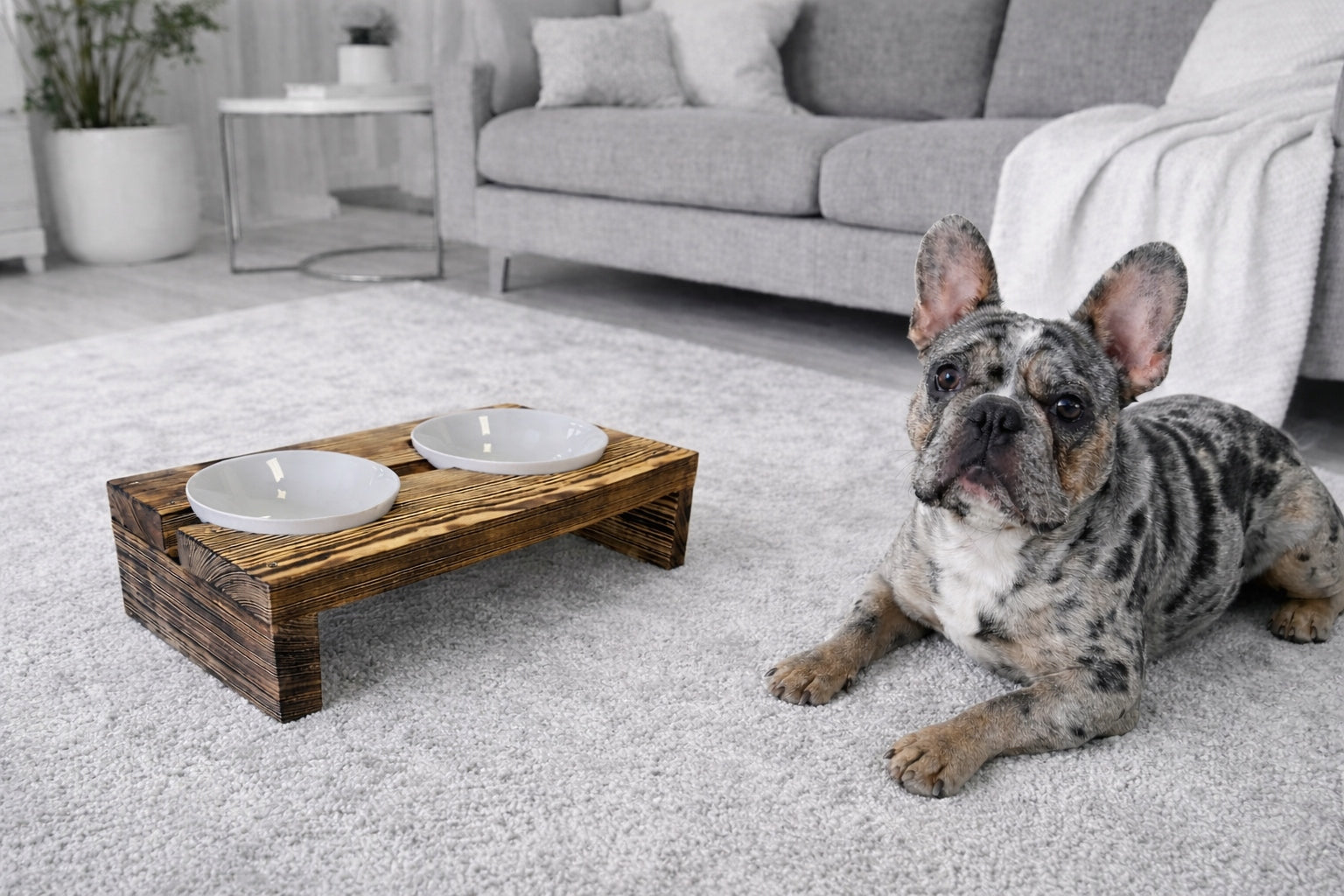 Set of two 1600 ml dog bowls on wooden stand glass bowls Material other material
