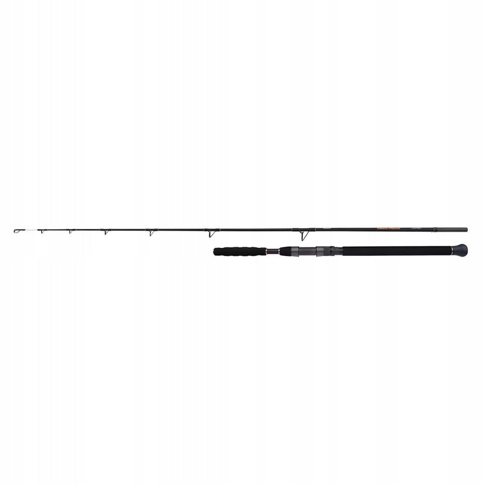 Shimano BeastMaster AX Catfish Vertic Spin 185cm 200g Rod