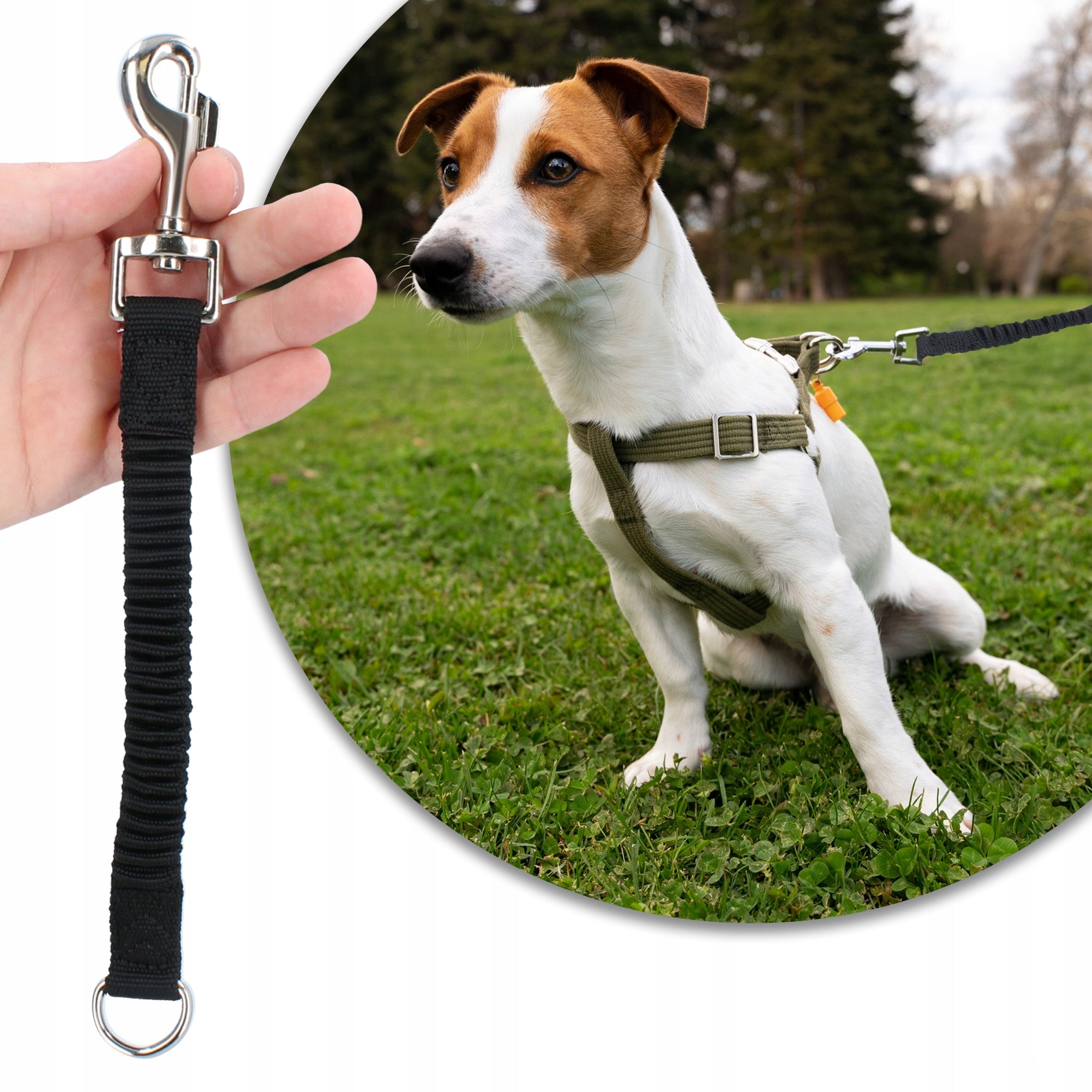 Shock Absorber Lanyards Running Training M Pulling Medium Dog 26cm Power 0D Material tape