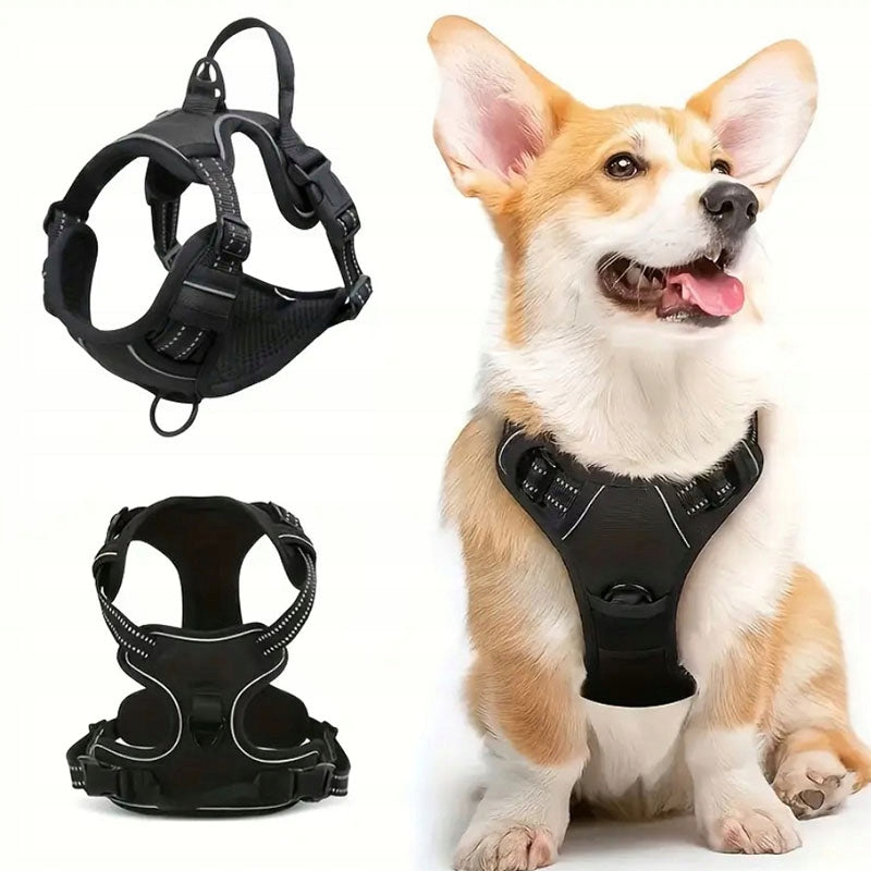 Small Dog BRACES PRESSURE-FREE black S 33-60cm Maltese York Brand no brand