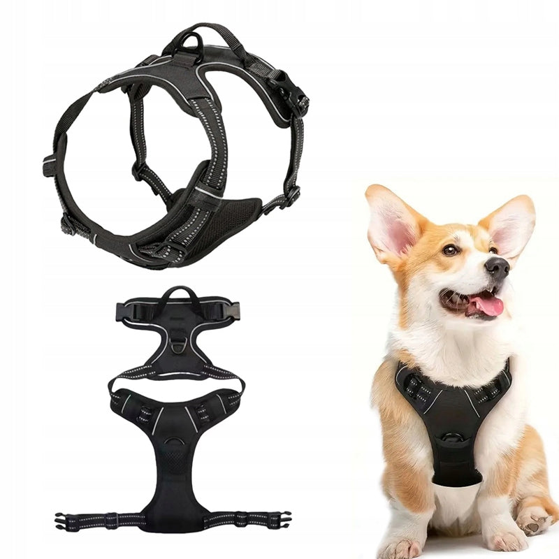 Small Dog BRACES PRESSURE-FREE black S 33-60cm Maltese York