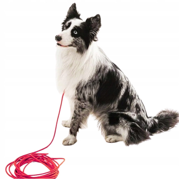 Small Dog LANYARD Waterproof Lightweight PVC Training Rope 3M BLAST Turquoise Maximum leash length 3 m