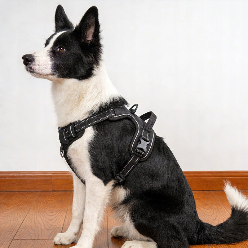 Small dog HARNESS PRESSURE-FREE black S 34-63cm Brand no brand