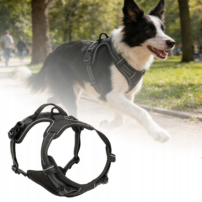 Small dog HARNESS PRESSURE-FREE black S 34-63cm Trade name Purrtiny