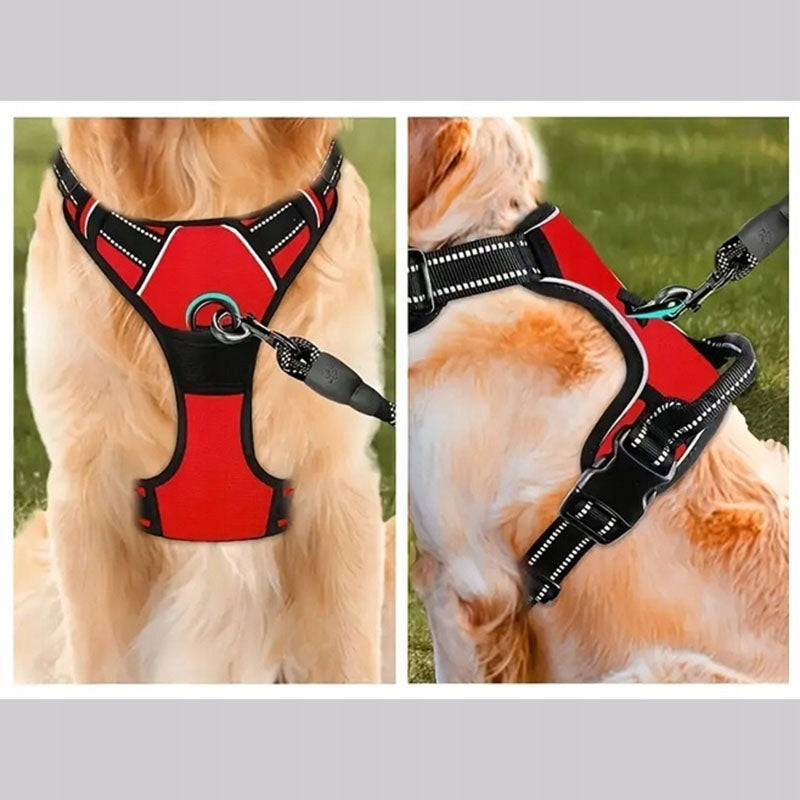 Small dog HARNESS PRESSURE-FREE red S 33-60cm Maltese York Color red