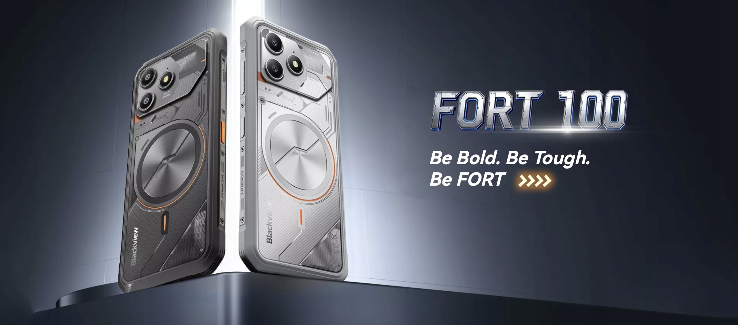 Smartphone Blackview FORT 100 8 GB / 128 GB 4G (LTE) stříbrný Brand Blackview