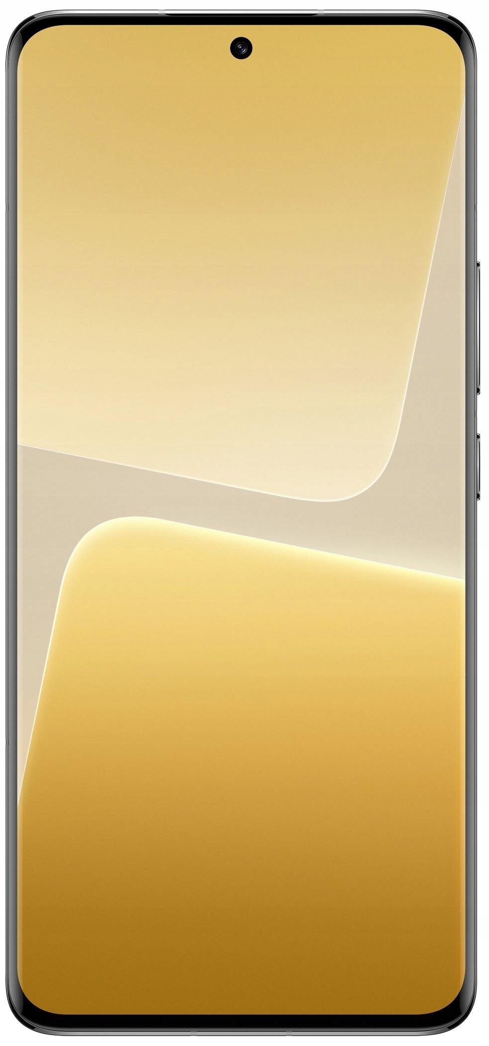 Smartphone Xiaomi 13 Pro 12 GB / 256 GB 5G white Built-in memory 256 GB