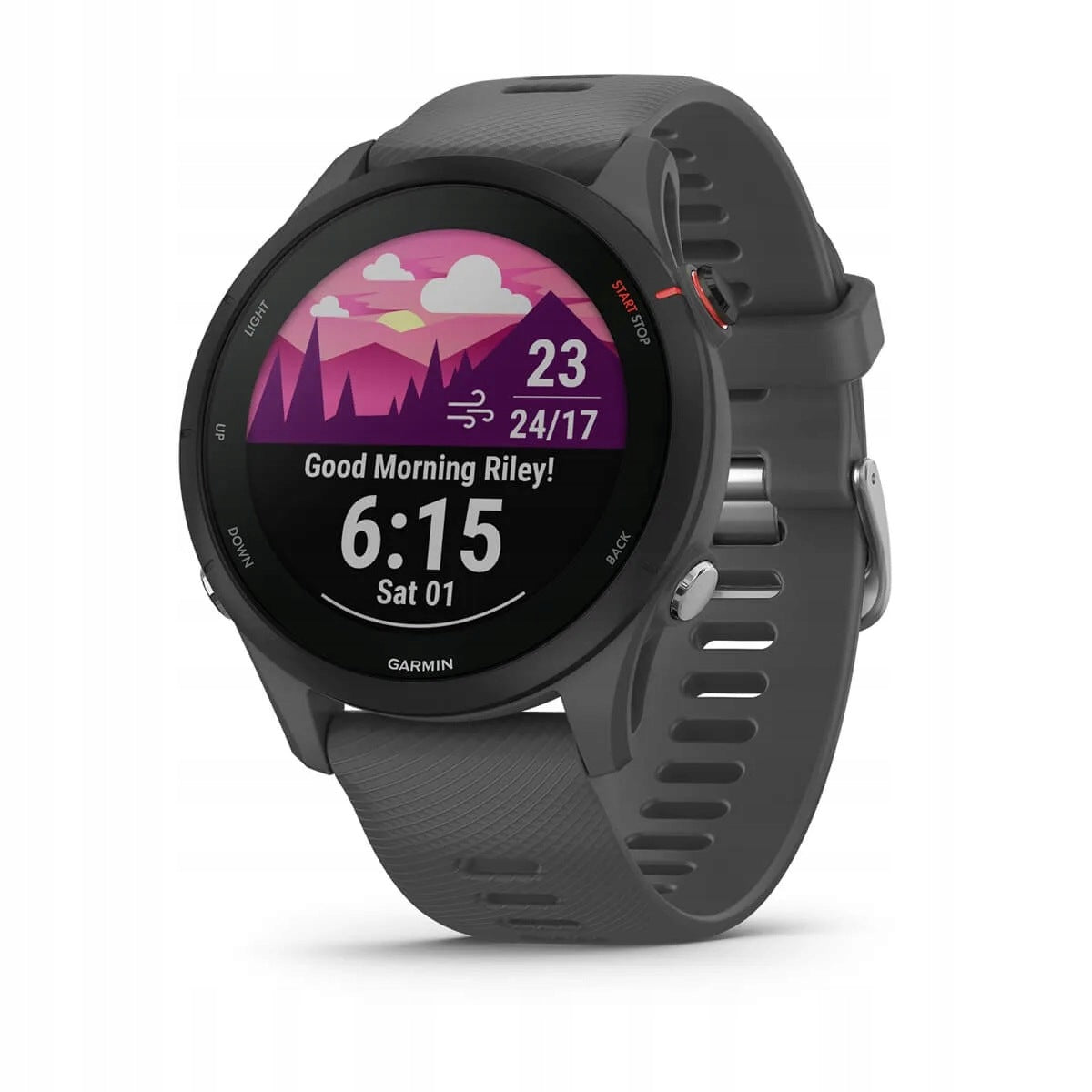 Smartwatch Garmin Forerunner 255 Mysterious Grey Waterproof GPS