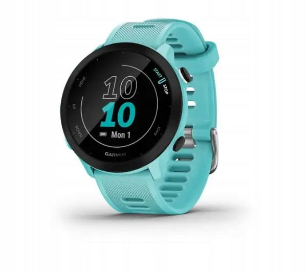 Smartwatch Garmin Forerunner 55 42mm GPS Blue