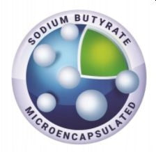 Sodium Butyrate 100caps Butyric Acid INTESTINES ALINESS Manufacturer code NmO2seRS