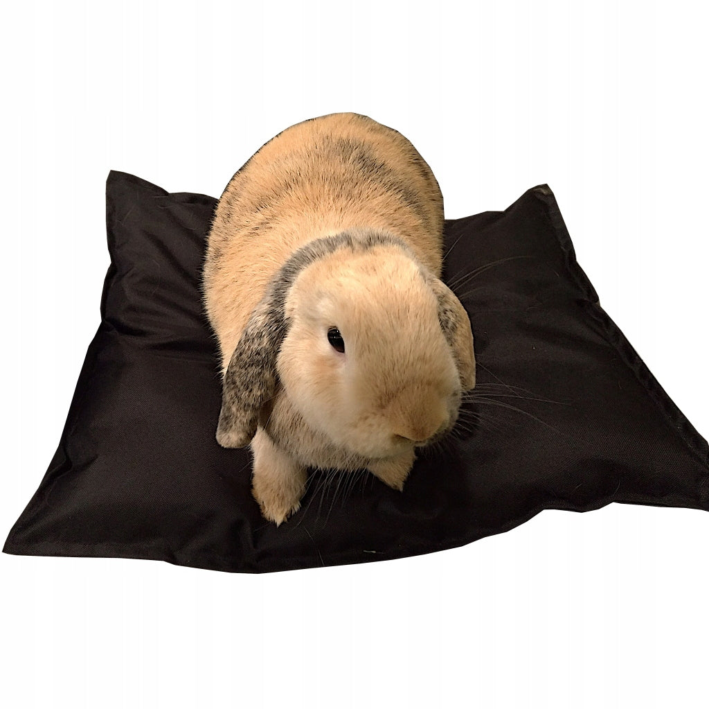 Soft Small Cat Bed Ferrets Waterproof Bedding Pillow Black Brand ECO Brush