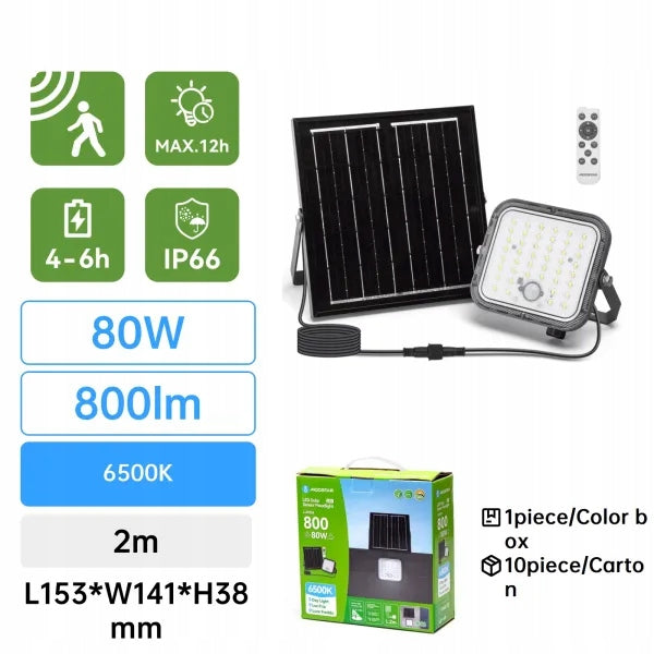 Solar floodlight 2m 80W PIR 6500K