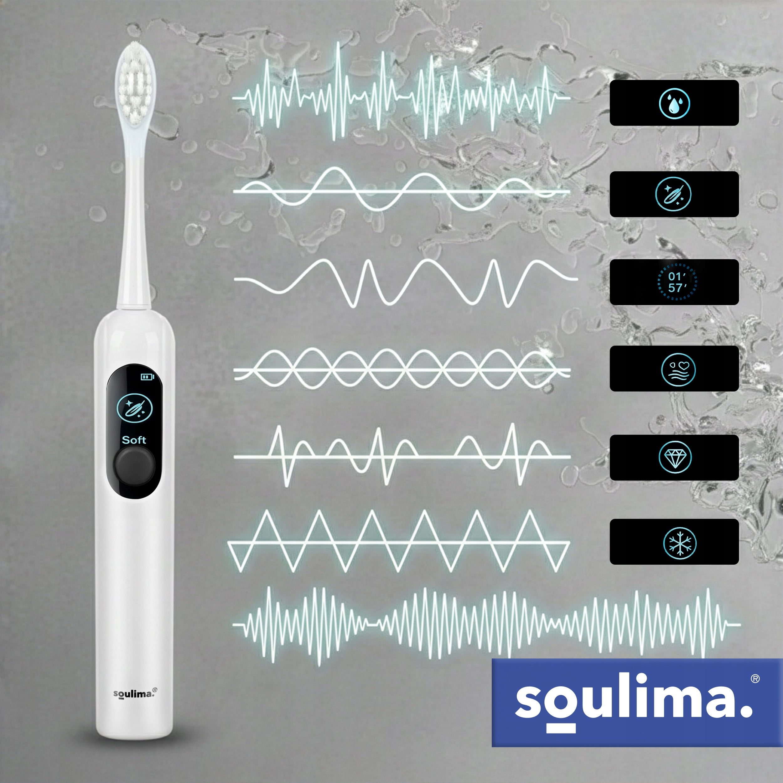 Sonic Toothbrush Electric Induction 12 Tips 6 Modes 2x Packaging status original