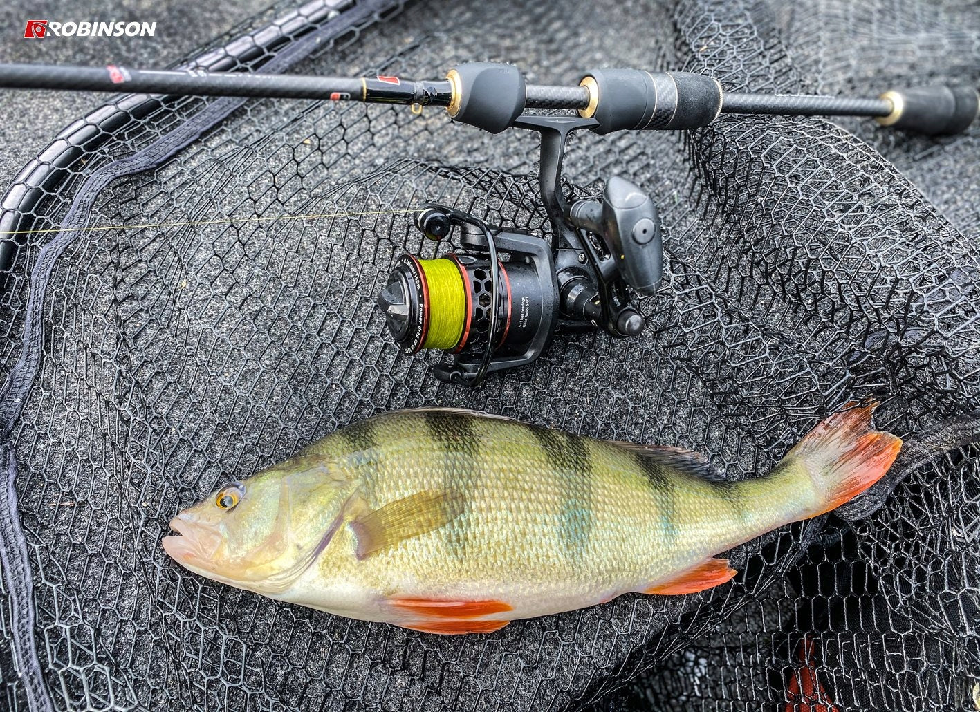 Spinning reel 1500 Robinson RAPTOR 156 for Perch Spinning Brand Robinson