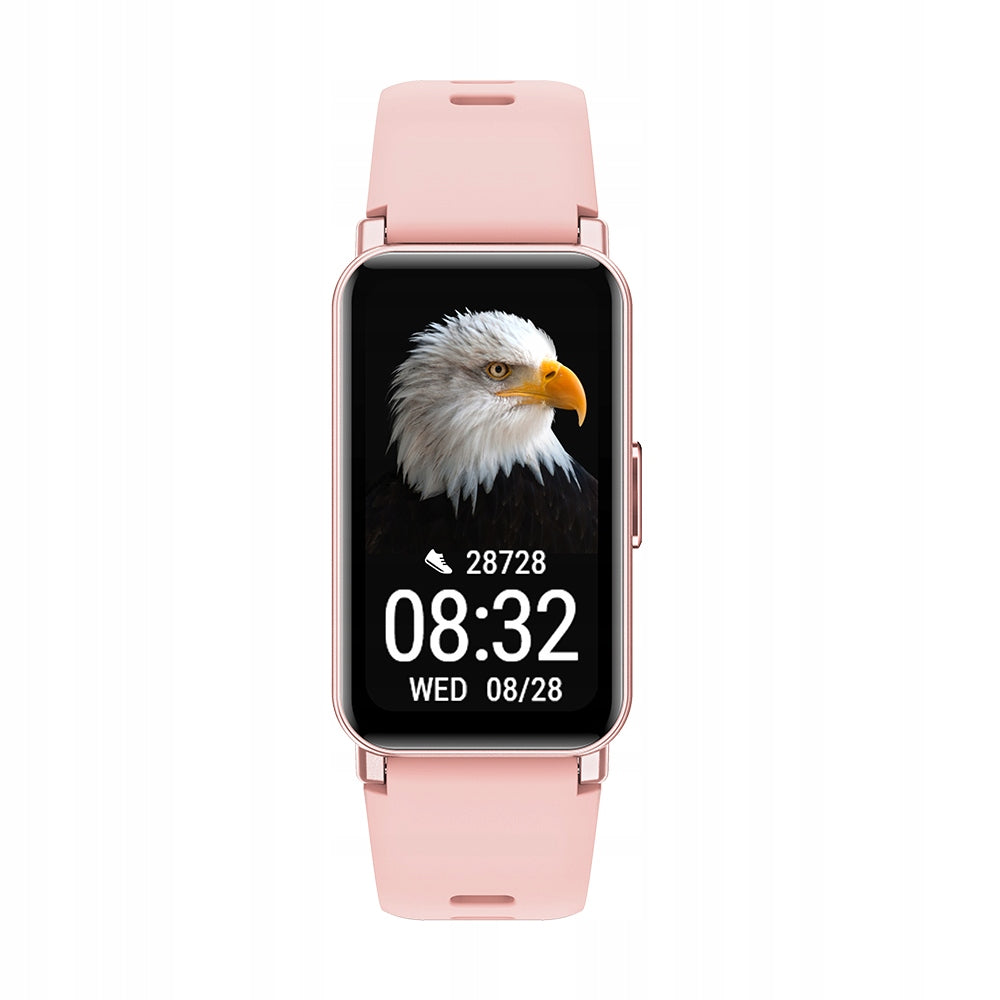 Sports Band FW53 Nitro Gold with GPS EAN (GTIN) 5908235977522