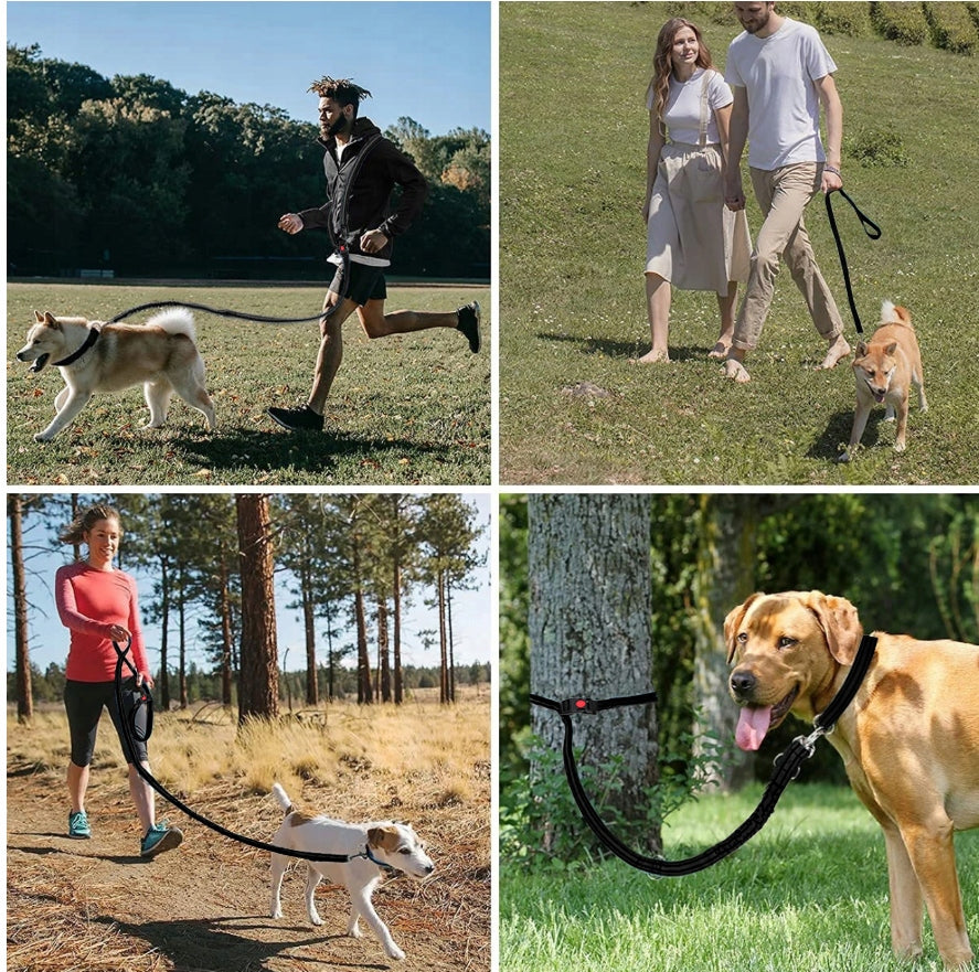 Sports LEASH FOR DOGS, ADJUSTABLE SHOCK ABSORBER, 3m Material tape
