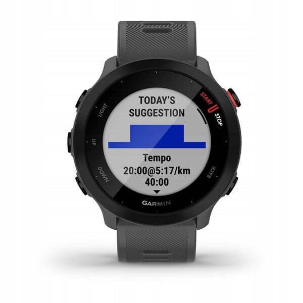 Sports watch Garmin Forerunner 55 Grey (010-02562-13) Kind smartwatch