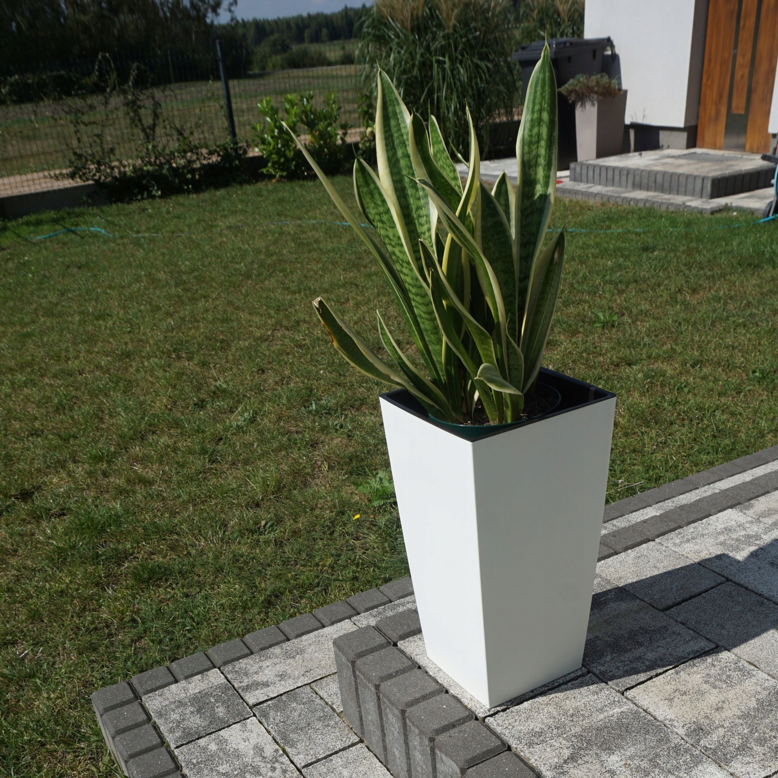 Square flower pot matt 22,5cm with insert Planter + spacer Product height 42.2 cm