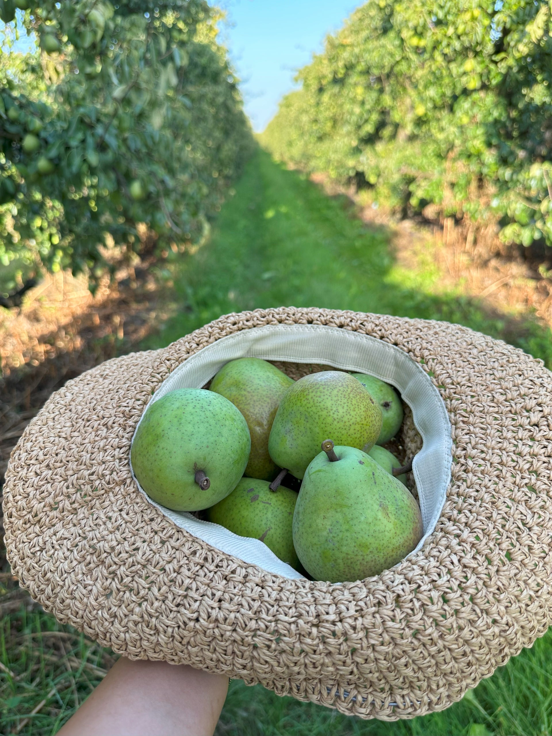 Stand + Juice apple pear 100% 5L pressed from pears and apples NFC 100% Manufacturer code Sadvit