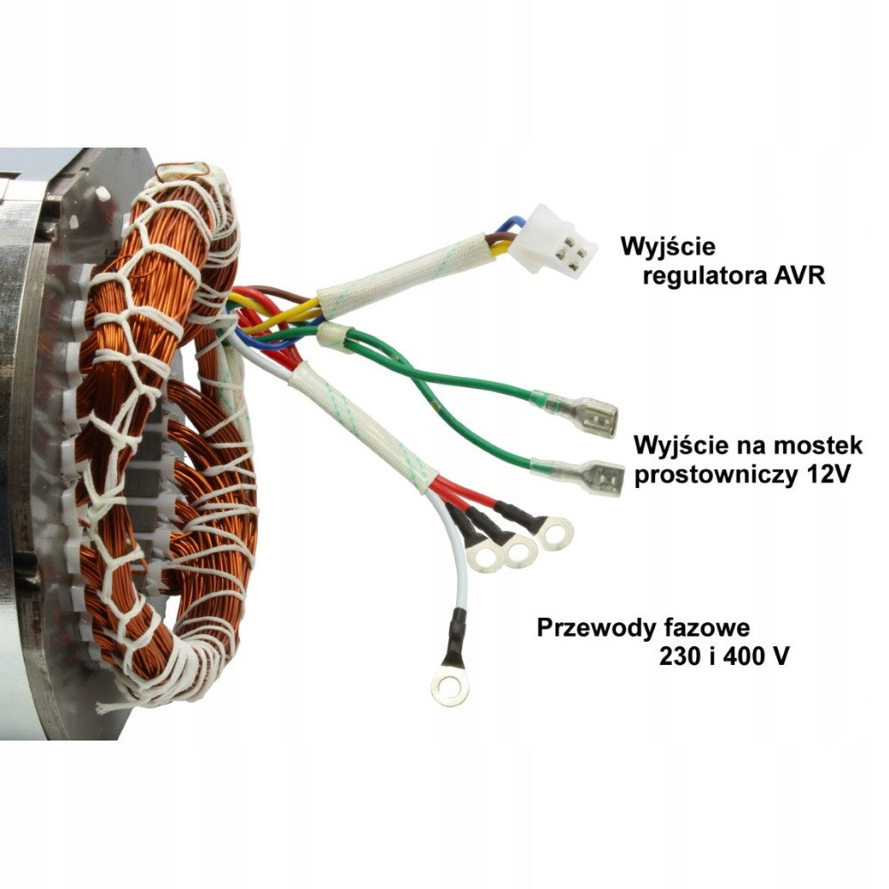 Stator 100 mm 400V Generator for power generator EAN (GTIN) 5903766496900
