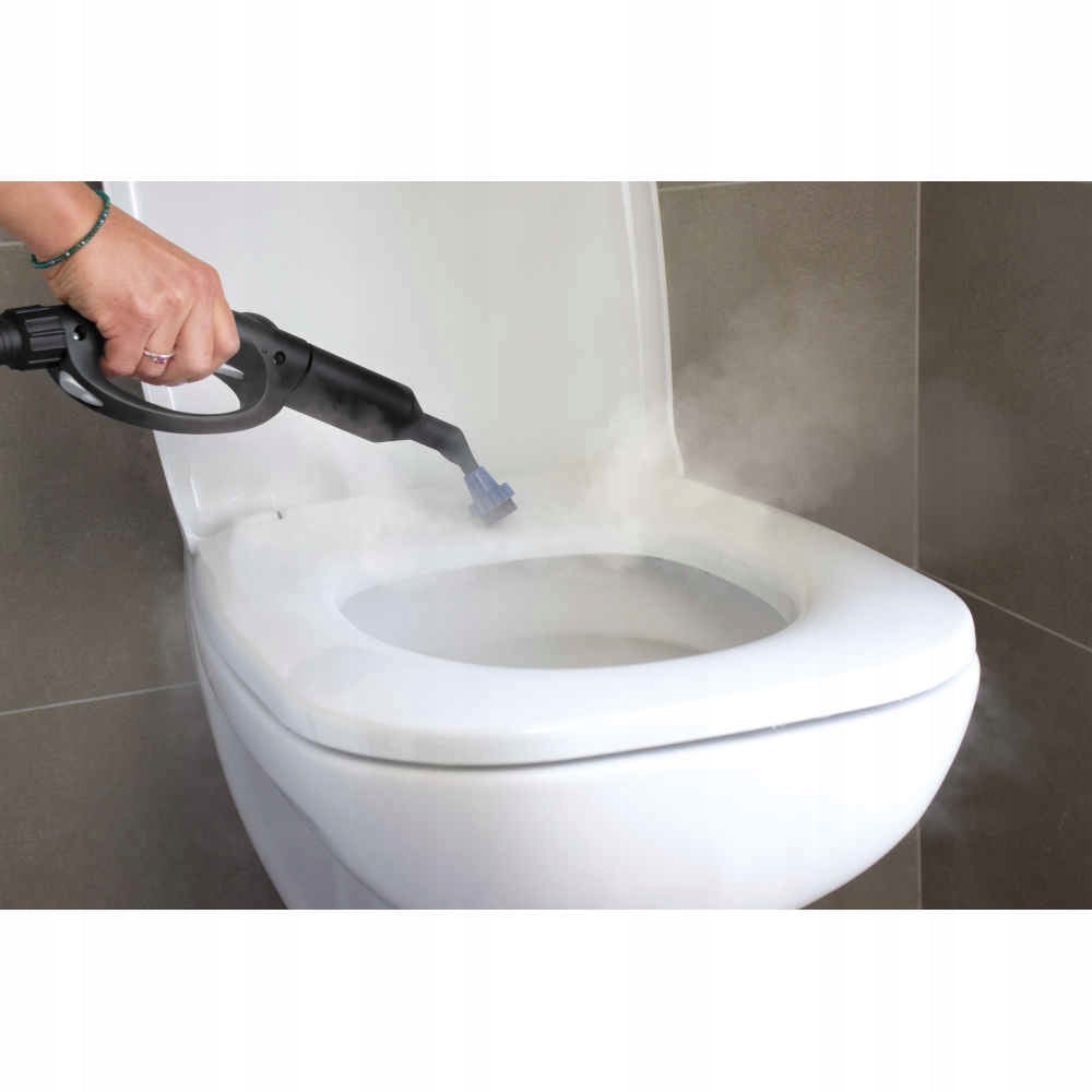 Steam cleaner Polti Vaporetto Pro 95 Turbo Flexi Dominant color black