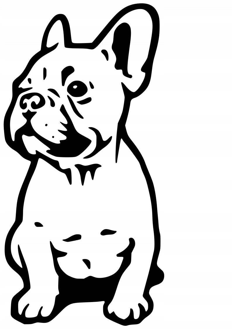 Sticker without background for car FRENCH BULLDOG 24 x 12,0 cm