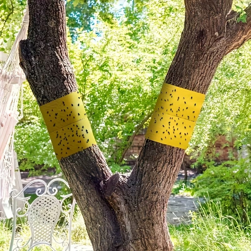 Sticky Double Sided Insect Tape for Trees Shrub Caterpillars 10cm 2m Packaging status original